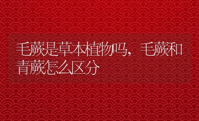 毛蕨是草本植物吗,毛蕨和青蕨怎么区分 | 养殖学堂