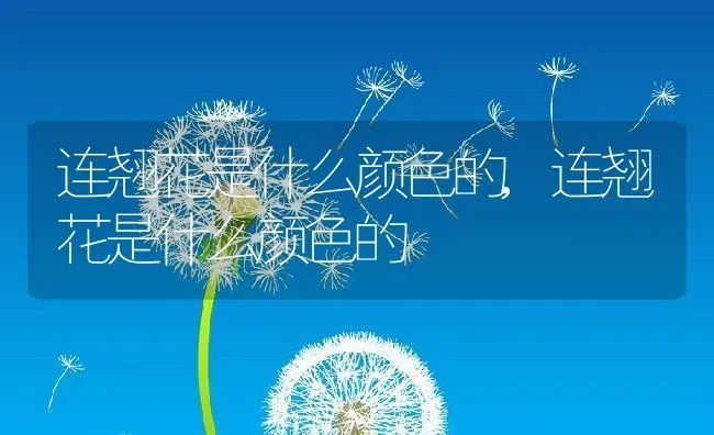 连翘花是什么颜色的,连翘花是什么颜色的 | 养殖科普