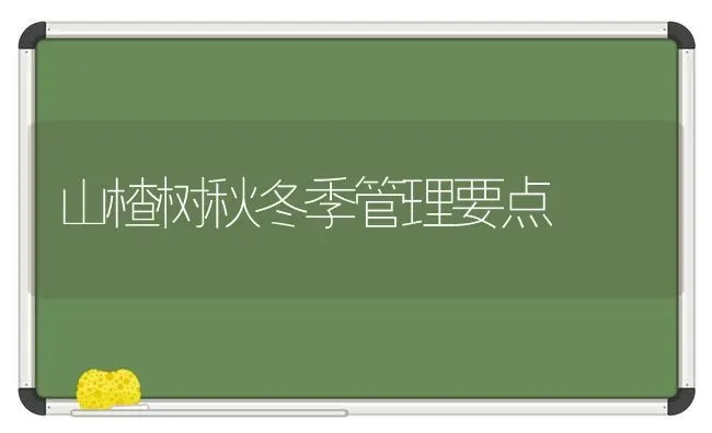 山楂树秋冬季管理要点 | 养殖技术大全