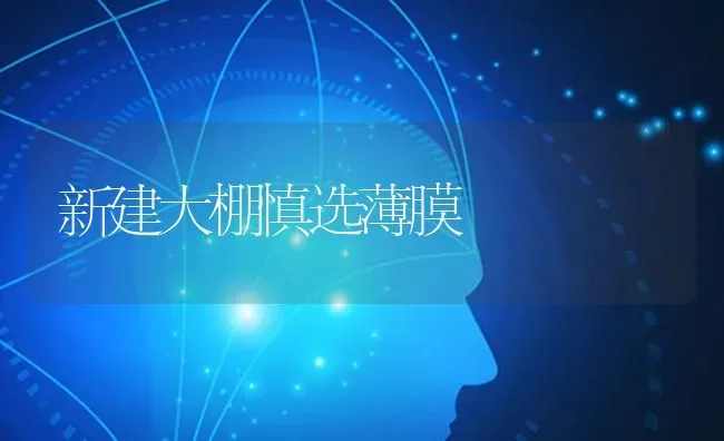 新建大棚慎选薄膜 | 养殖技术大全