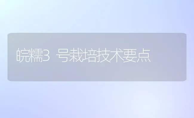 皖糯3号栽培技术要点 | 养殖知识