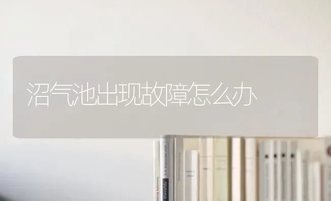 沼气池出现故障怎么办 | 养殖技术大全