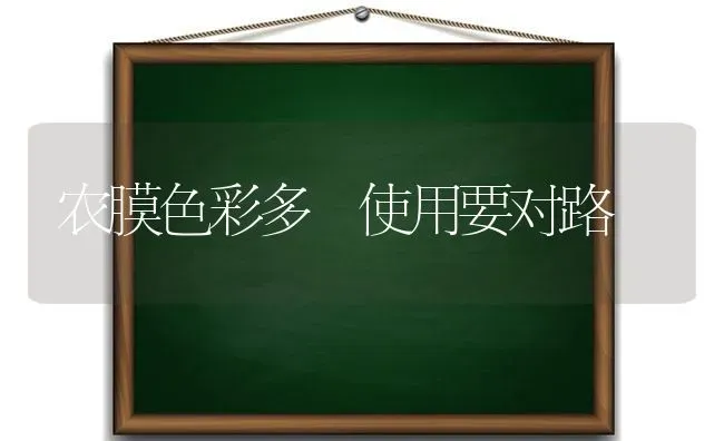 农膜色彩多 使用要对路 | 养殖技术大全