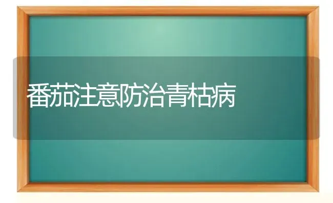 番茄注意防治青枯病 | 养殖知识