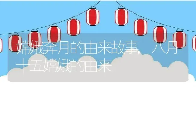 嫦娥奔月的由来故事,八月十五嫦娥的由来 | 养殖科普