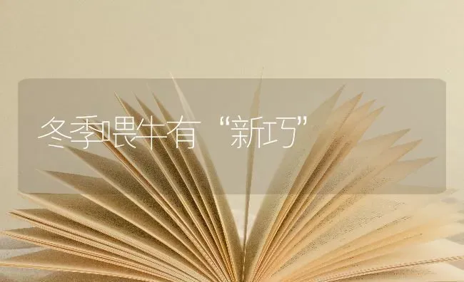 冬季喂牛有“新巧” | 养殖技术大全