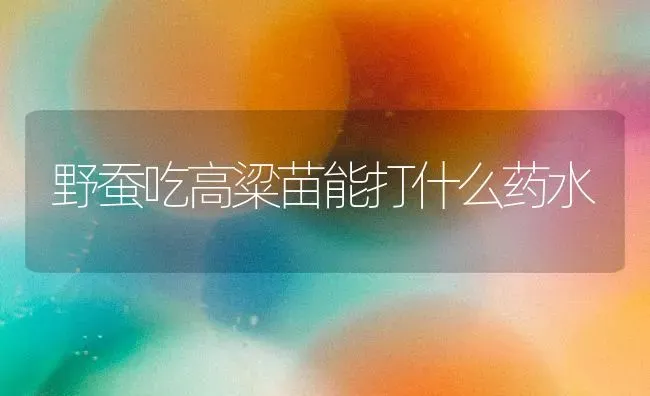 野蚕吃高粱苗能打什么药水 | 养殖知识