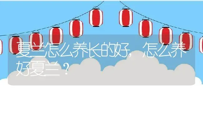 夏兰怎么养长的好,怎么养好夏兰？ | 养殖科普