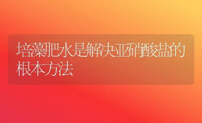 培藻肥水是解决亚硝酸盐的根本方法 | 养殖技术大全