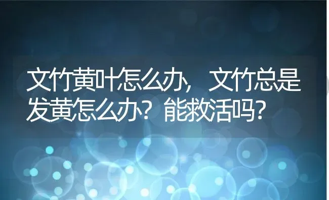 文竹黄叶怎么办,文竹总是发黄怎么办？能救活吗？ | 养殖科普