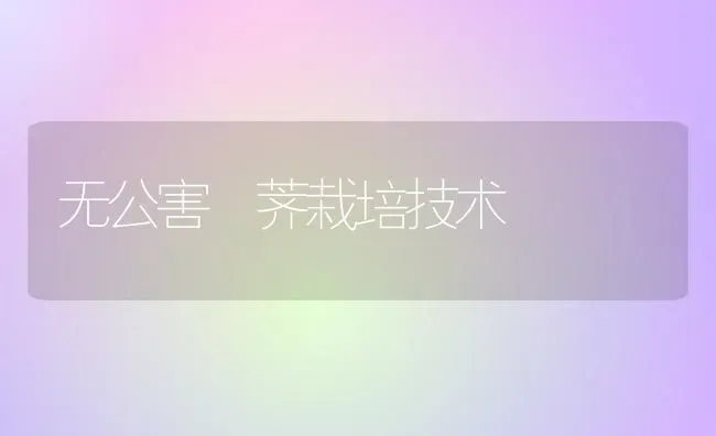 无公害茡荠栽培技术 | 养殖知识