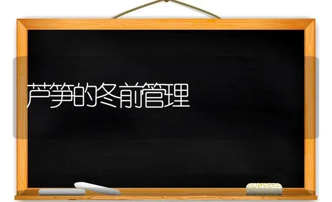 芦笋的冬前管理 | 养殖技术大全