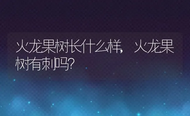 火龙果树长什么样,火龙果树有刺吗？ | 养殖科普