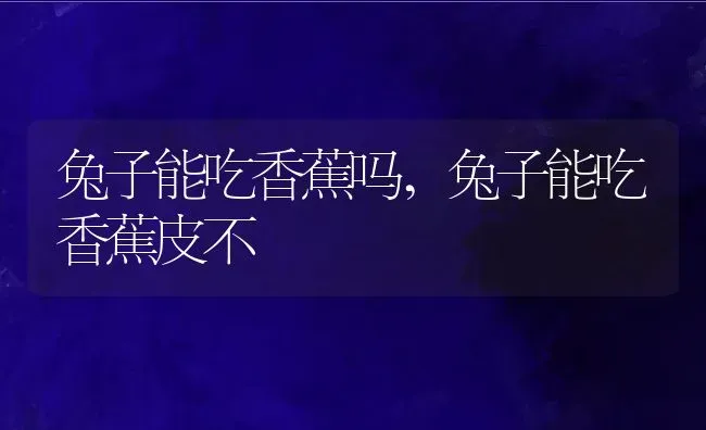 兔子能吃香蕉吗,兔子能吃香蕉皮不 | 养殖科普
