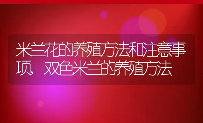 米兰花的养殖方法和注意事项,双色米兰的养殖方法 | 养殖学堂