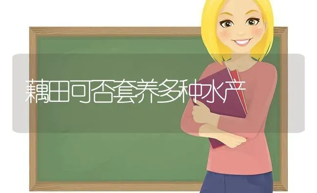 藕田可否套养多种水产 | 养殖技术大全