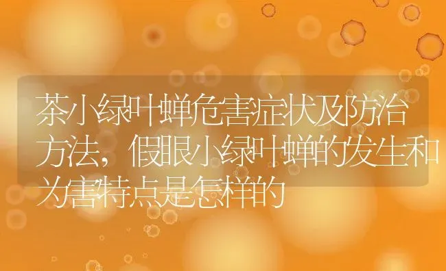 茶小绿叶蝉危害症状及防治方法,假眼小绿叶蝉的发生和为害特点是怎样的 | 养殖学堂