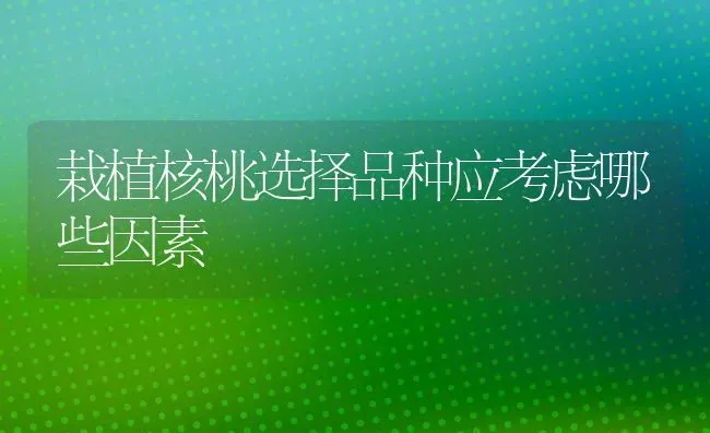 栽植核桃选择品种应考虑哪些因素 | 养殖技术大全