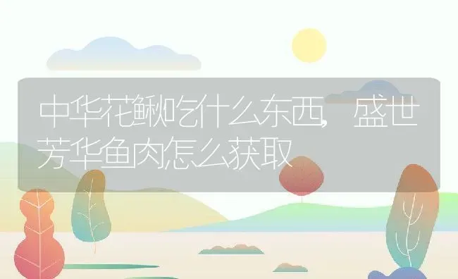 中华花鳅吃什么东西,盛世芳华鱼肉怎么获取 | 养殖学堂