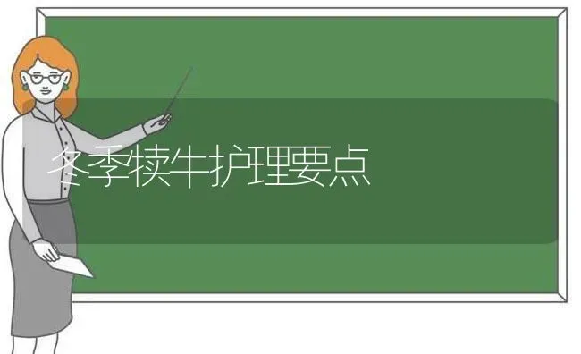 冬季犊牛护理要点 | 养殖知识