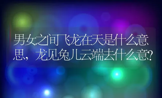 男女之间飞龙在天是什么意思,龙见兔儿云端去什么意？ | 养殖学堂