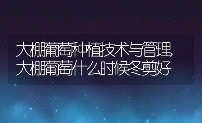 大棚葡萄种植技术与管理,大棚葡萄什么时候冬剪好 | 养殖学堂