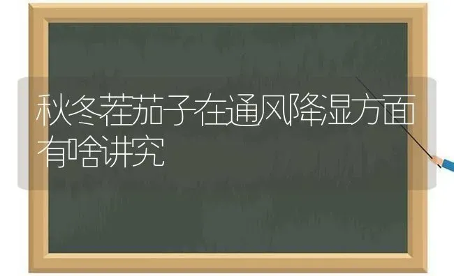 花生种子处理新方法 | 养殖技术大全