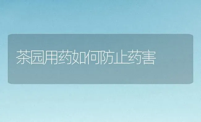 茶园用药如何防止药害 | 养殖知识