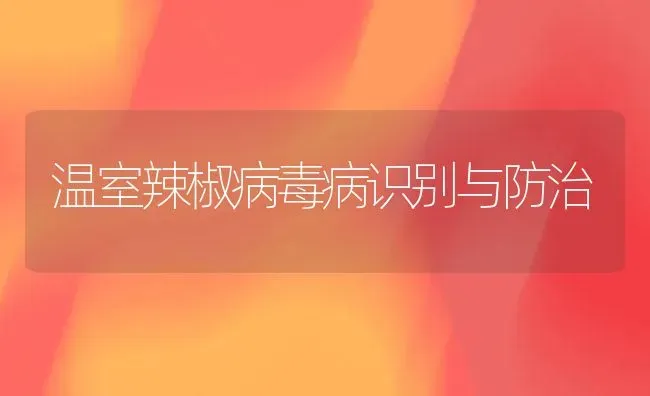 温室辣椒病毒病识别与防治 | 养殖技术大全