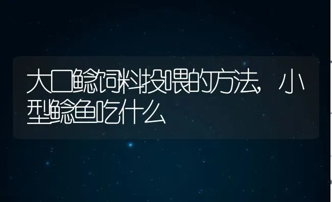 大口鲶饲料投喂的方法,小型鲶鱼吃什么 | 养殖学堂