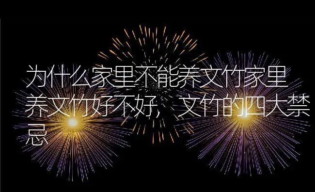 为什么家里不能养文竹家里养文竹好不好,文竹的四大禁忌 | 养殖学堂