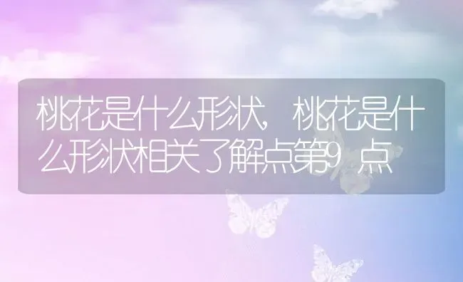 桃花是什么形状,桃花是什么形状相关了解点第9点 | 养殖学堂