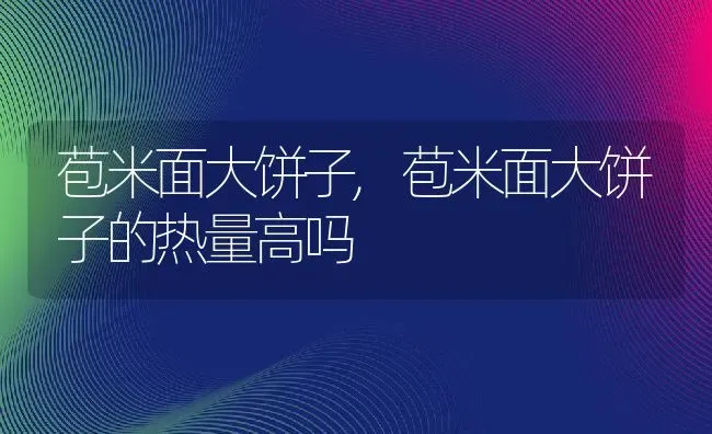 苞米面大饼子,苞米面大饼子的热量高吗 | 养殖科普