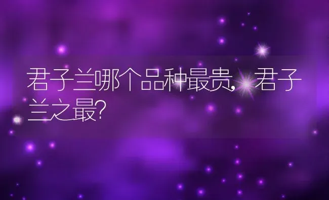 君子兰哪个品种最贵,君子兰之最？ | 养殖学堂