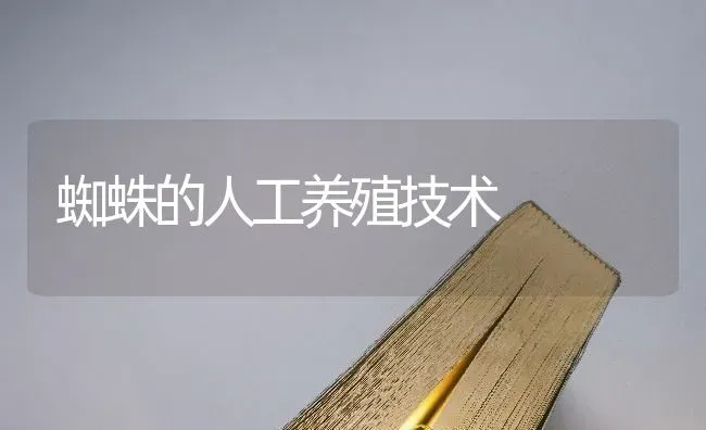 蜘蛛的人工养殖技术 | 养殖知识