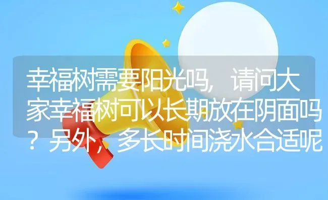 幸福树需要阳光吗,请问大家幸福树可以长期放在阴面吗？另外，多长时间浇水合适呢？对光照的要求高吗？谢谢大家了？ | 养殖科普