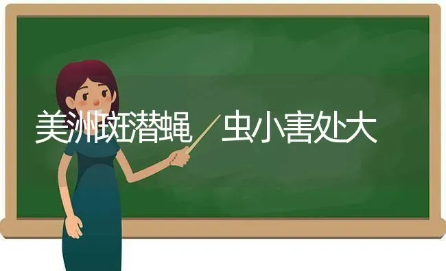 美洲斑潜蝇 虫小害处大 | 养殖技术大全