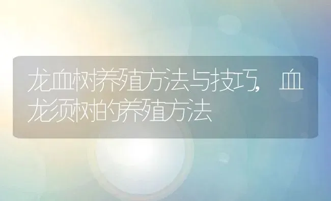 龙血树养殖方法与技巧,血龙须树的养殖方法 | 养殖学堂