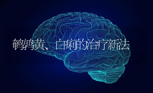 鹌鹑黄、白痢的治疗新法 | 养殖知识