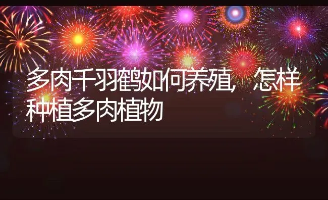多肉千羽鹤如何养殖,怎样种植多肉植物 | 养殖学堂