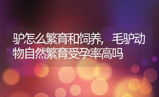 驴怎么繁育和饲养,毛驴动物自然繁育受孕率高吗 | 养殖学堂