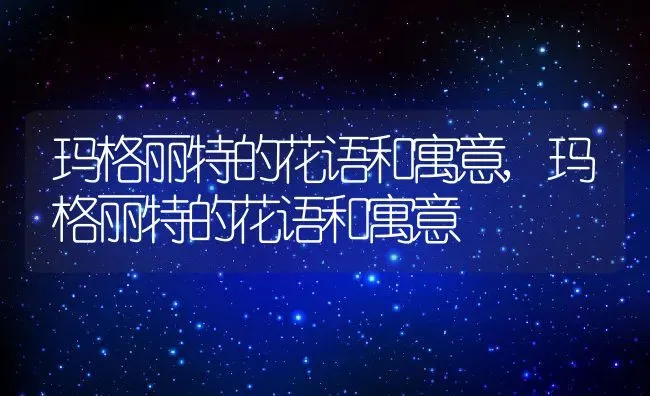 玛格丽特的花语和寓意,玛格丽特的花语和寓意 | 养殖科普