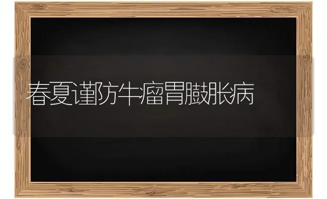 春夏谨防牛瘤胃臌胀病 | 养殖知识