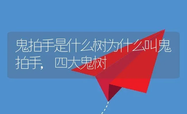 鬼拍手是什么树为什么叫鬼拍手,四大鬼树 | 养殖学堂