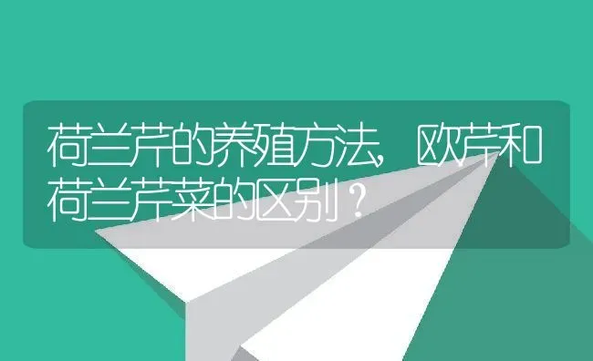 荷兰芹的养殖方法,欧芹和荷兰芹菜的区别？ | 养殖科普