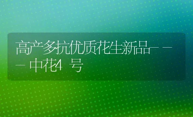 高产多抗优质花生新品---中花4号 | 养殖技术大全