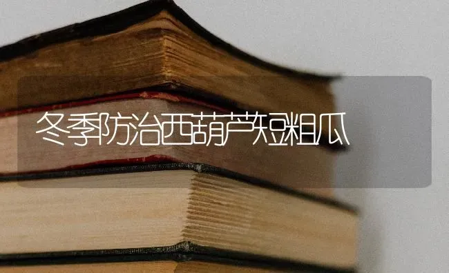 冬季防治西葫芦短粗瓜 | 养殖技术大全