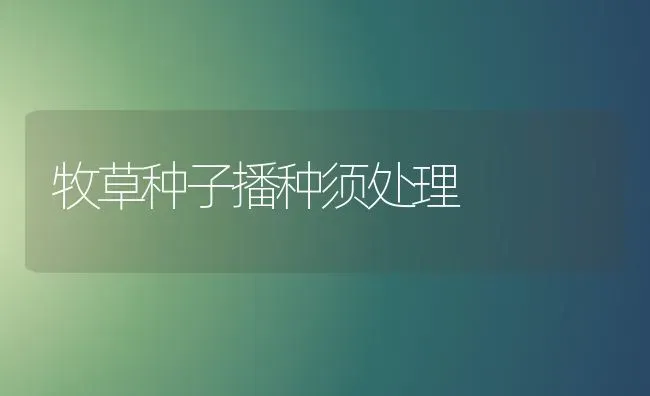 牧草种子播种须处理 | 养殖知识