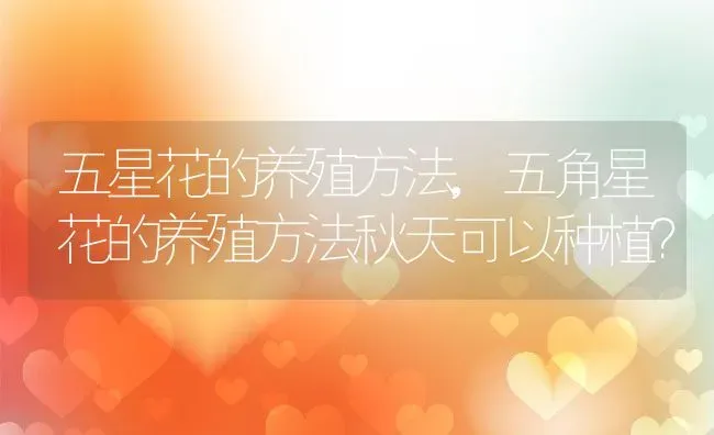 五星花的养殖方法,五角星花的养殖方法秋天可以种植？ | 养殖科普