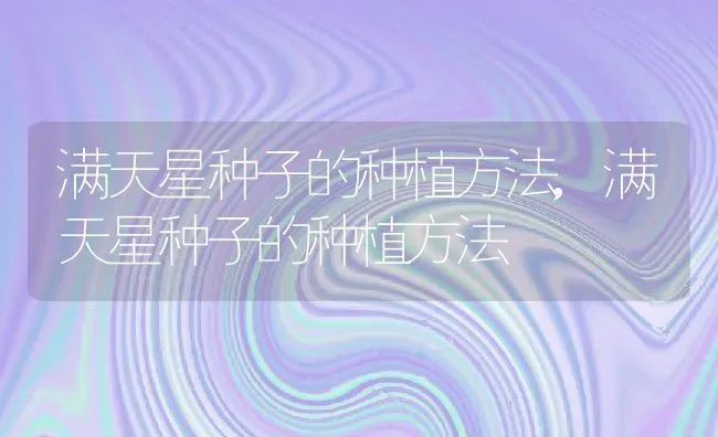 满天星种子的种植方法,满天星种子的种植方法 | 养殖科普